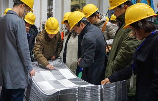 技術(shù)賦能產(chǎn)業(yè)升級 中石化上海工程醫(yī)藥食品專家團(tuán)蒞臨艾克森工廠開展技術(shù)咨詢交流